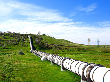 BOB体育官网产品中心八